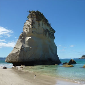 Sail Rock in Coromandel